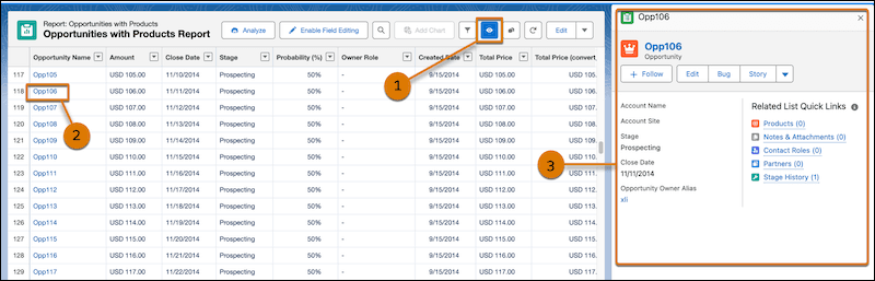 Salesforce screenshot: Less tab-switching in reports and list views