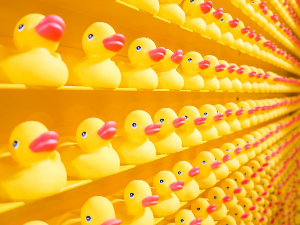 Rubber ducks on a wall